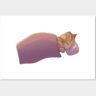 sleeping cat Posters and Art